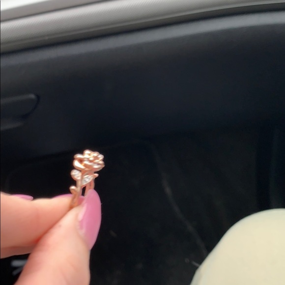 Rose gold Disney enchanted collectible. - Picture 6 of 7